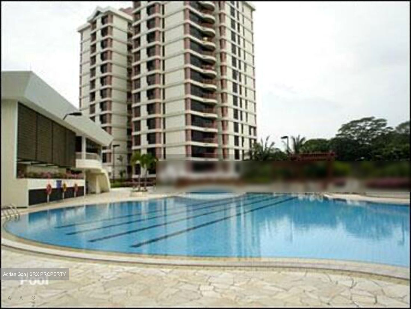 The Tanamera (D16), Condominium #444645381